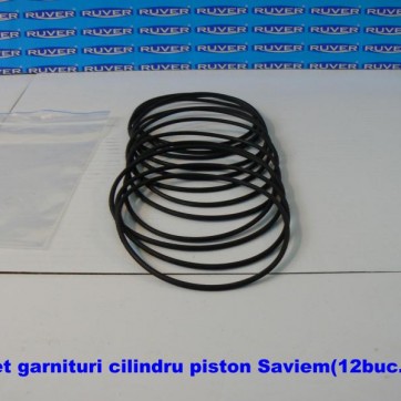 Set Garnituri Cilindru piston Saviem text