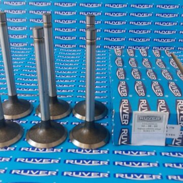 Supape motor Raba Cn IN web2