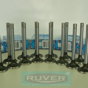 Supape_Motor_RUVER_600 copy